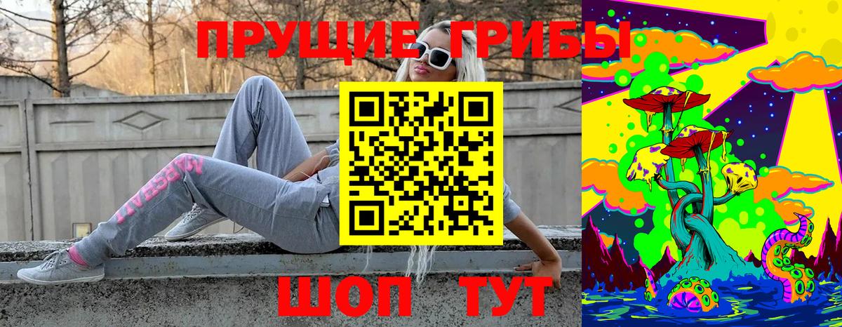 где купить наркотик  Галлюциногенные грибы Magic Shrooms  Вход с VPN  Горно-Алтайск  Псилоцибиновые грибы Psilocybine cubensis 